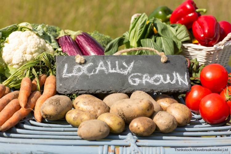 fruits and veggies at a farmers market