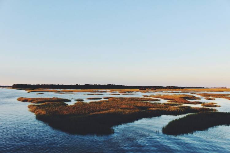 Folly Beach marsh