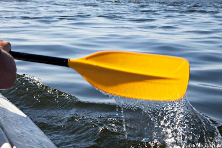 Kayak oar in the water