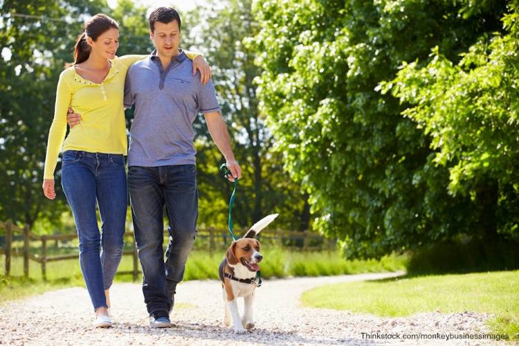 Couple walking dog in Folly Beach dog park