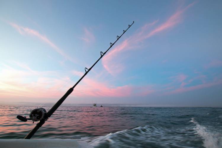 Fishing rod on a charter boat