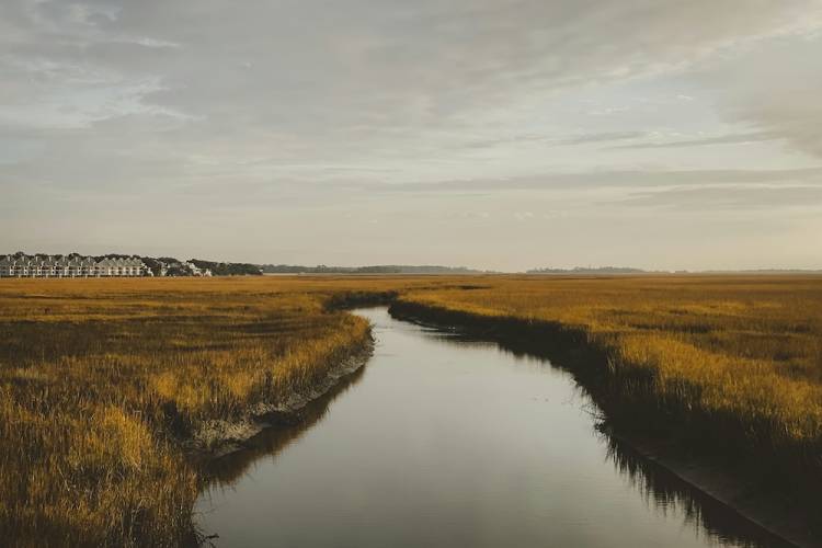 Folly river view from the park