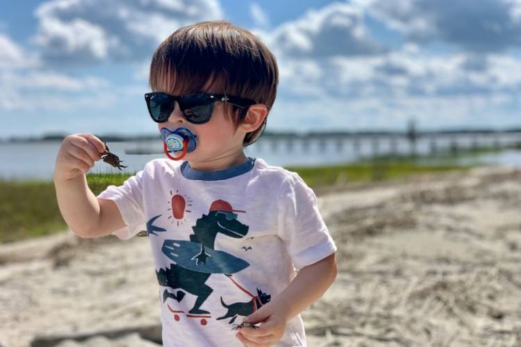 Kid shelling in park on beach