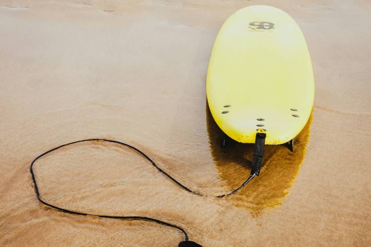 paddle board in water